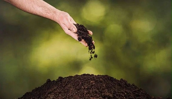 微生物在植物抗病抗虫方面的应用